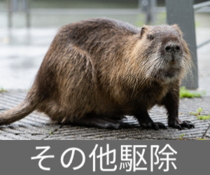 その他の駆除