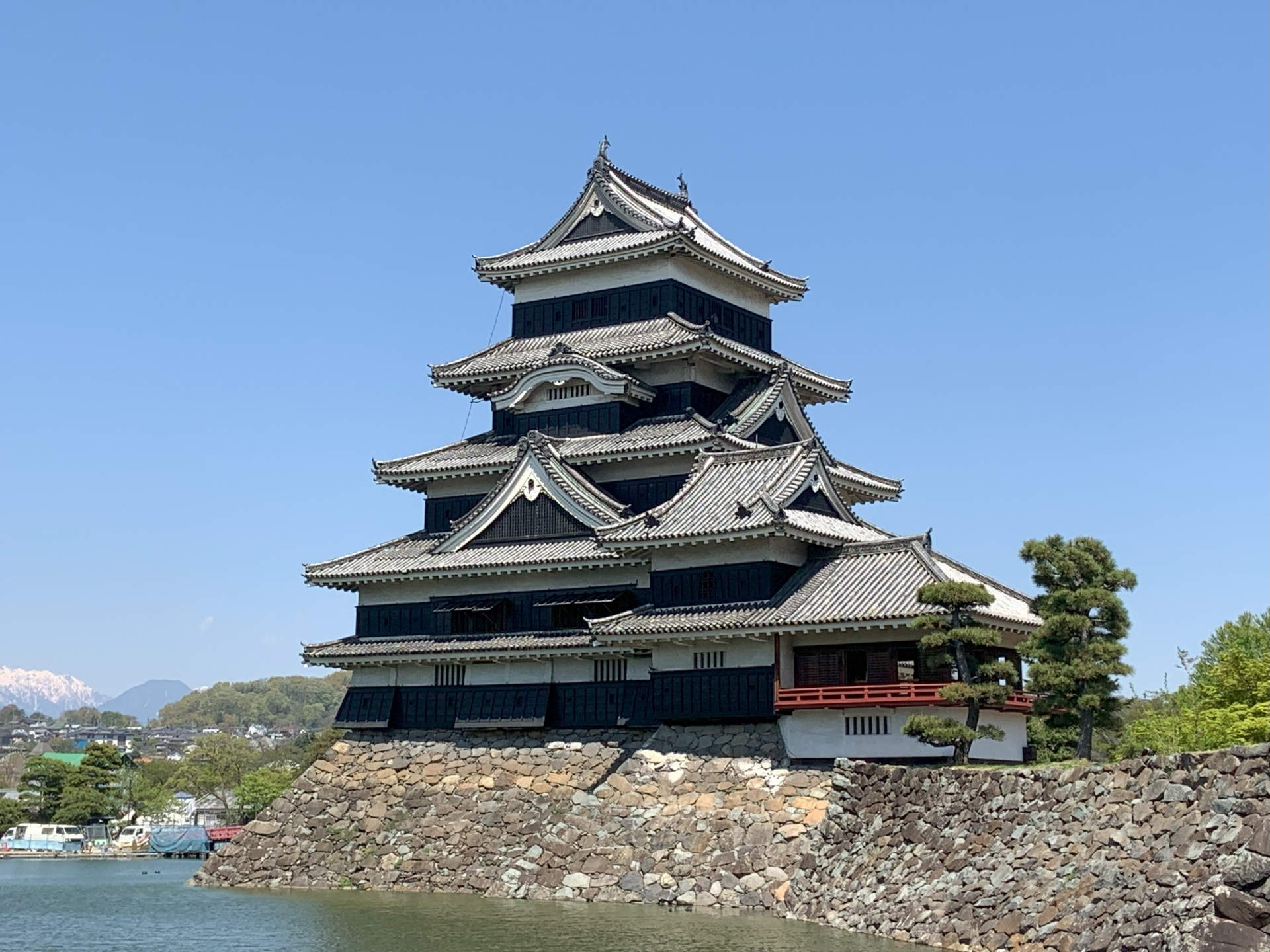 長野地域の駆除