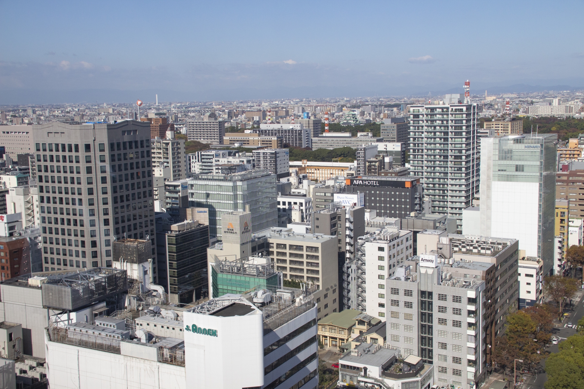 名古屋・知多地域の駆除