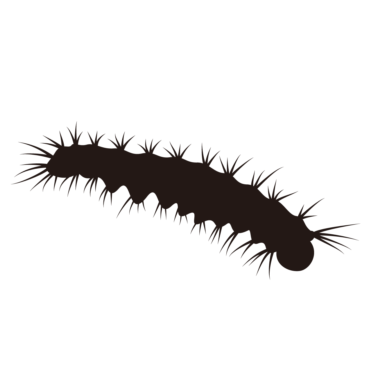 害虫のシルエット（ゴキブリを代表として使用）