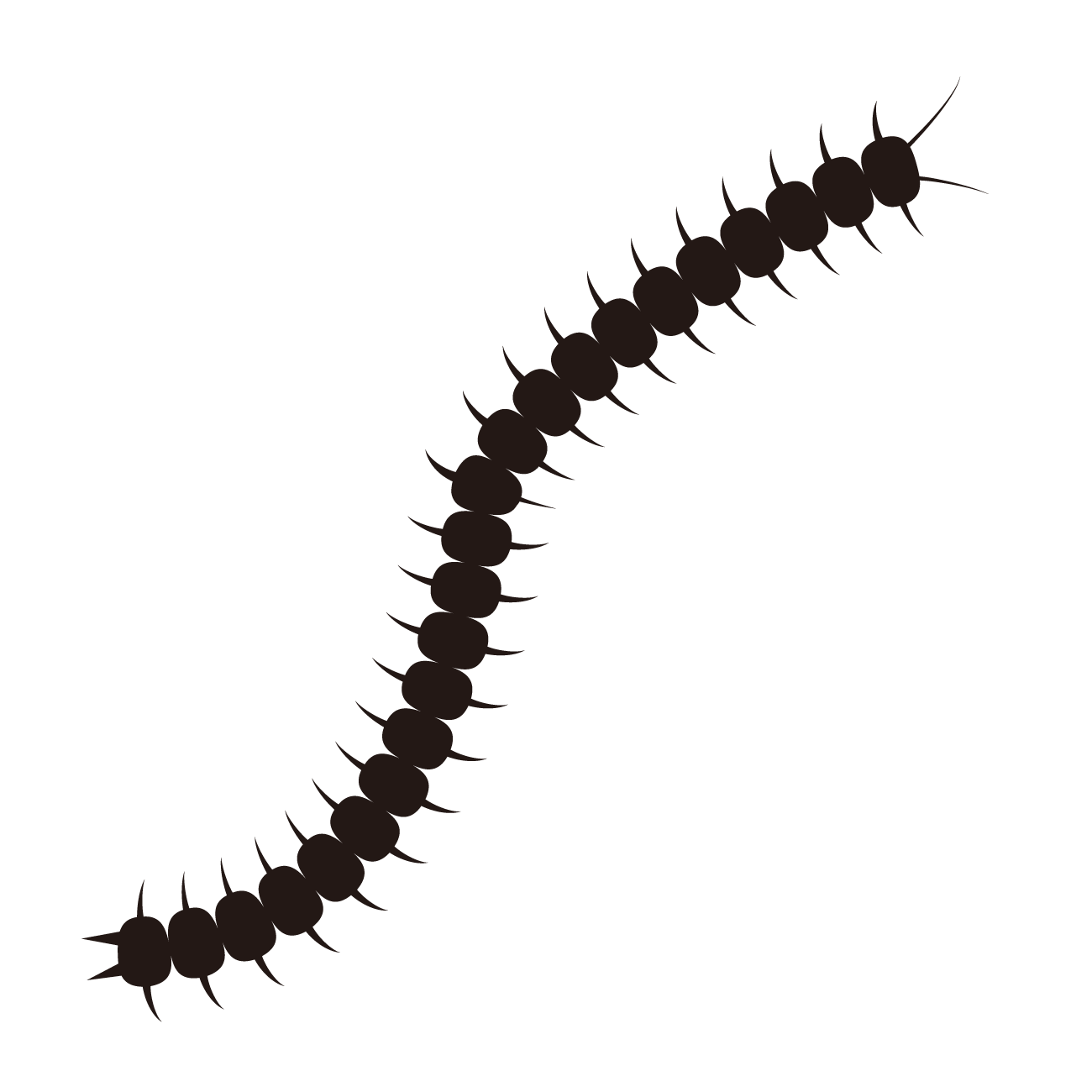 害虫のシルエット（ゴキブリを代表として使用）