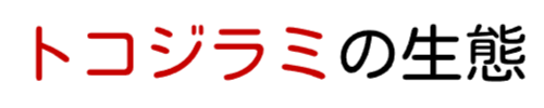 トコジラミの生態と特徴