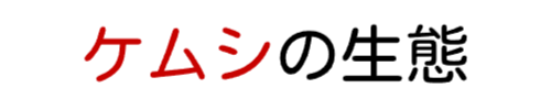 ケムシの生態と特徴