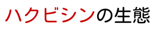 ハクビシンの生態