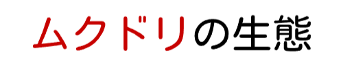 ムクドリの生態